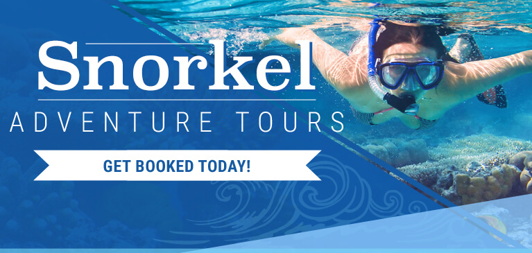 Cayman Islands Snorkeling Tours
