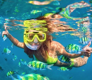 Cayman Islands Snorkeling